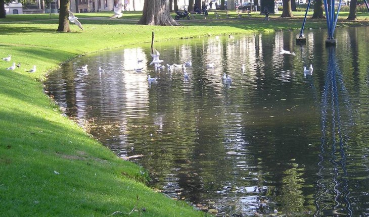 SUDS water retention ponds.jpg